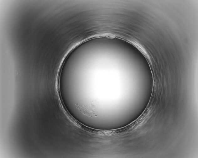 X0000096460813200801241117