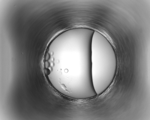 X0000096460814200801241117