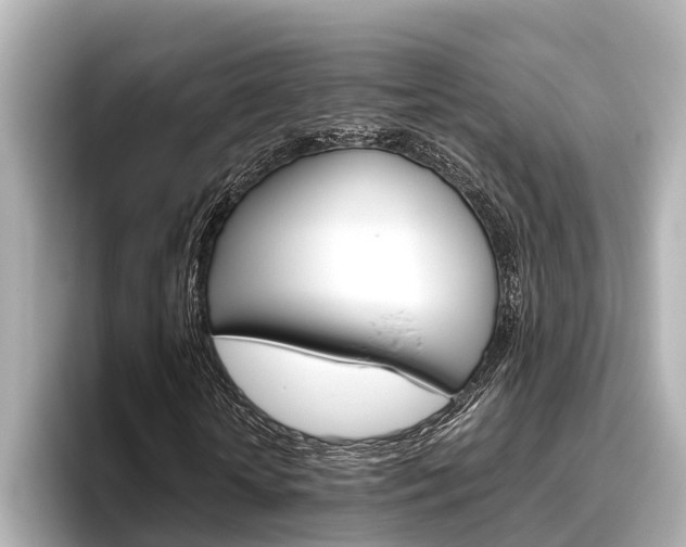 X0000096460818200801241116