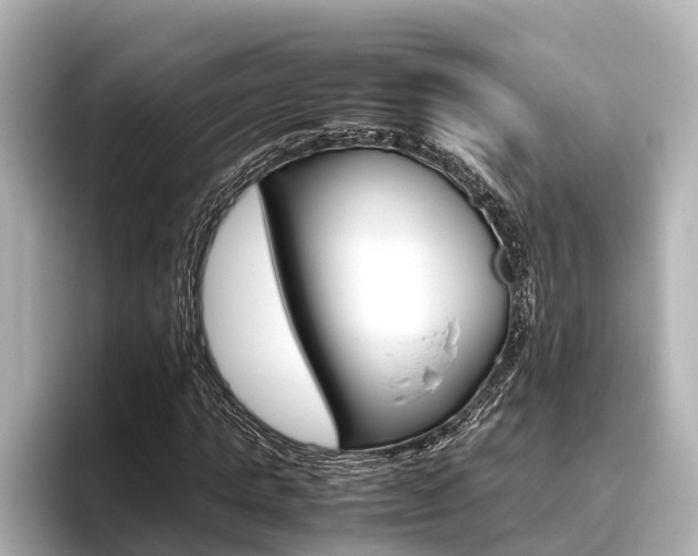 X0000096460821200801241116
