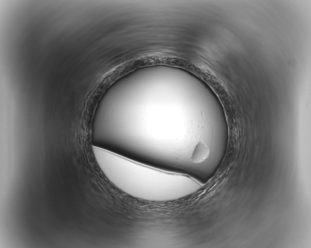 X0000096460822200801241116