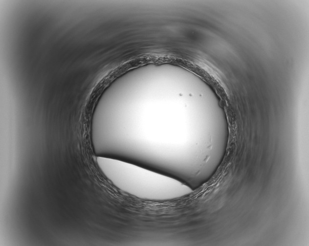X0000096460823200801241116