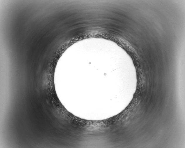 X0000096460824200801241116