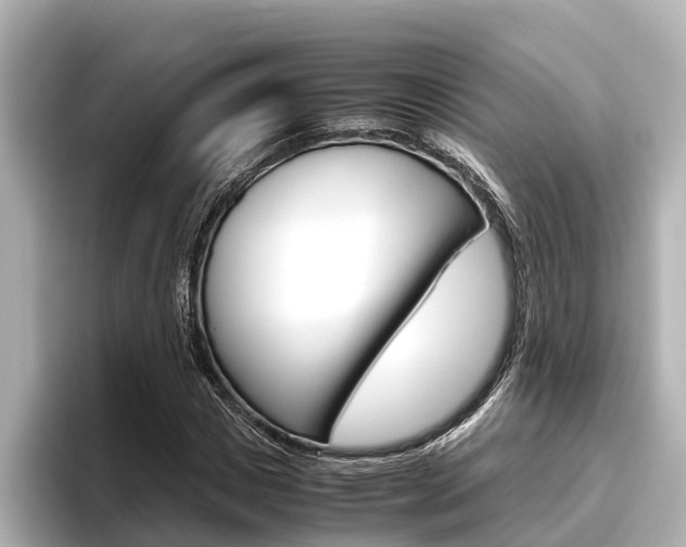 X0000096460825200801241116