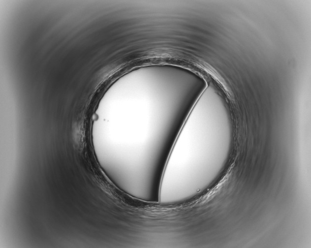 X0000096460826200801241116