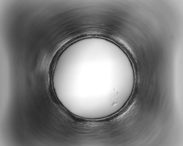 X0000096460829200801241116