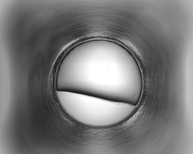 X0000096460830200801241116