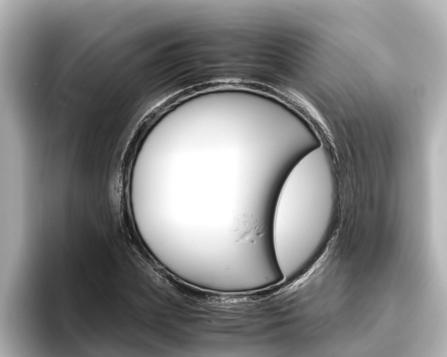 X0000096460831200801241116