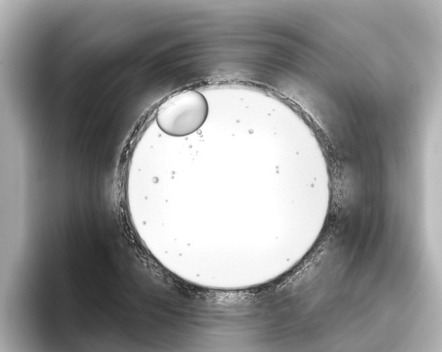 X0000096460832200801241116