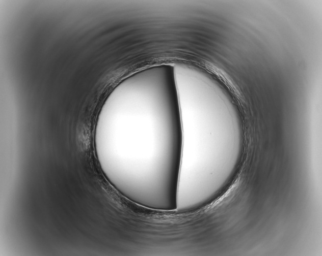 X0000096460833200801241116