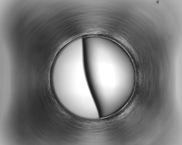 X0000096460834200801241116