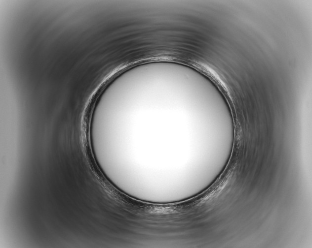 X0000096460835200801241116
