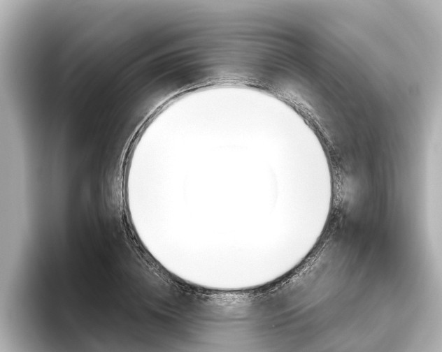 X0000096460836200801241116
