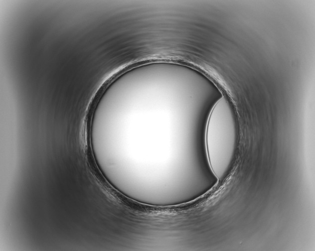 X0000096460838200801241116