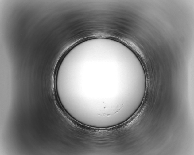 X0000096460839200801241116