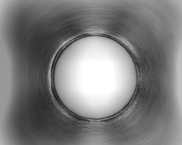 X0000096460840200801241116