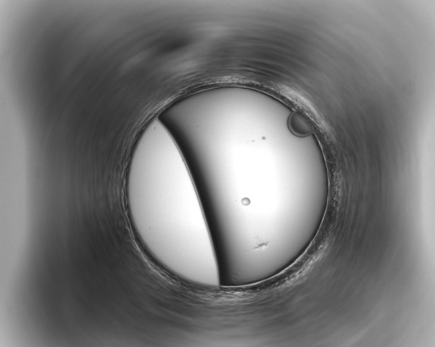 X0000096460841200801241116