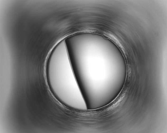 X0000096460843200801241116