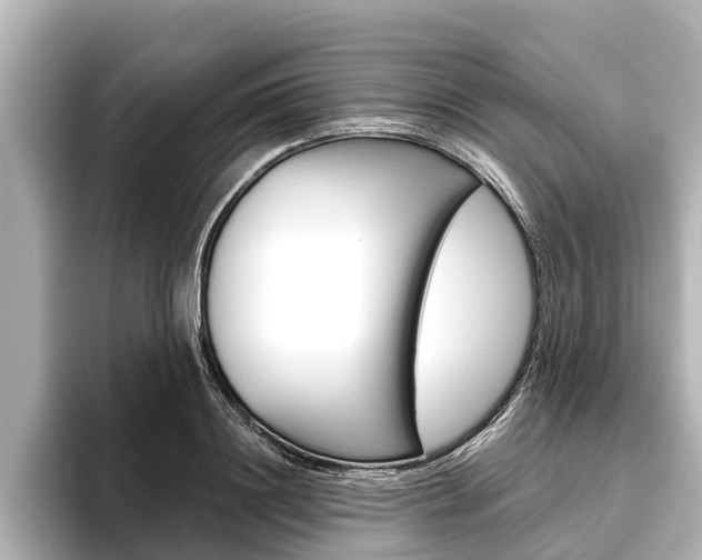X0000096460844200801241116