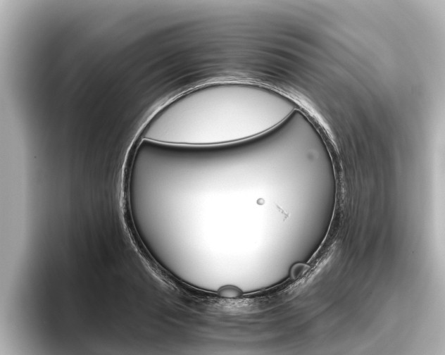 X0000096460845200801241116