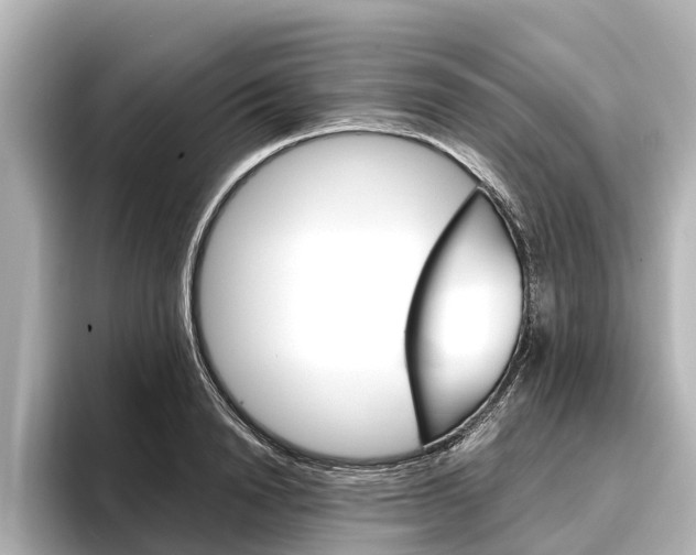 X0000096460846200801241116