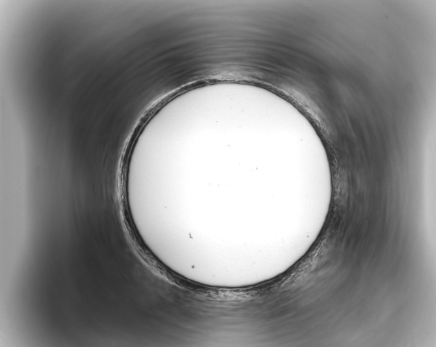 X0000096460848200801241116