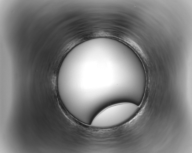 X0000096460849200801241116