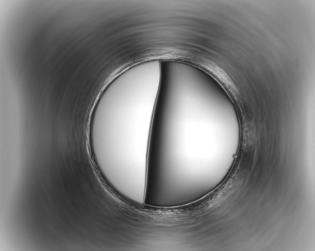 X0000096460850200801241116