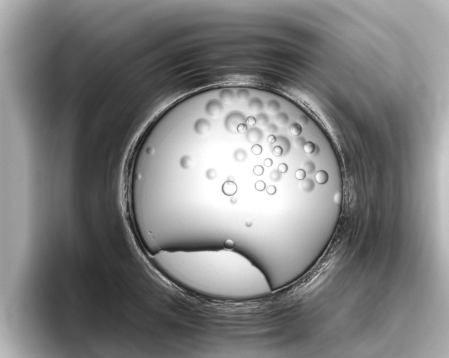 X0000096460851200801241116