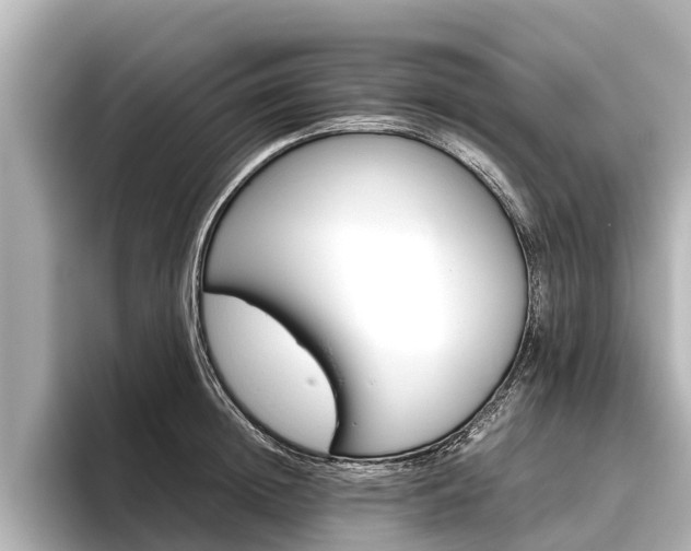 X0000096460852200801241116