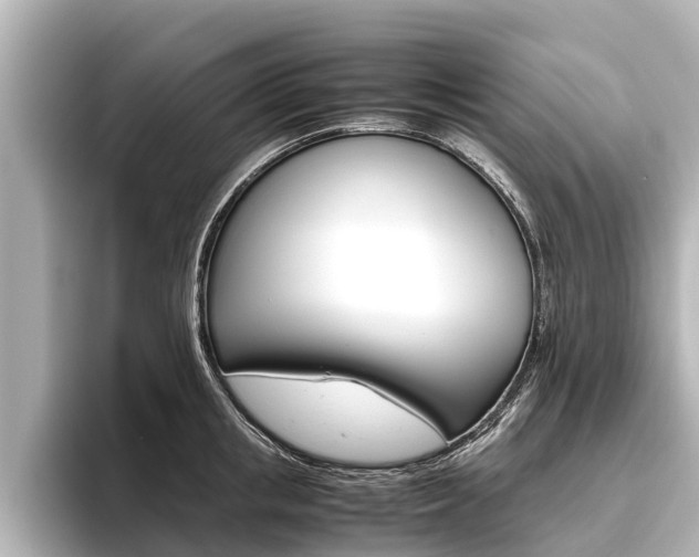 X0000096460853200801241116