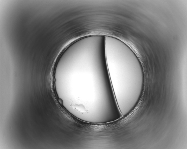 X0000096460854200801241116