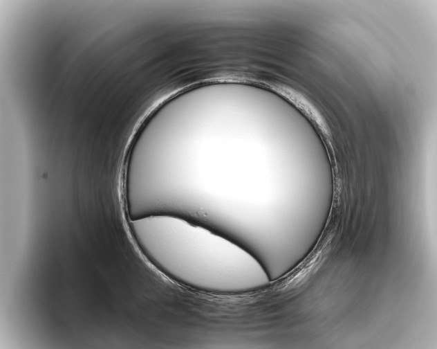 X0000096460855200801241116