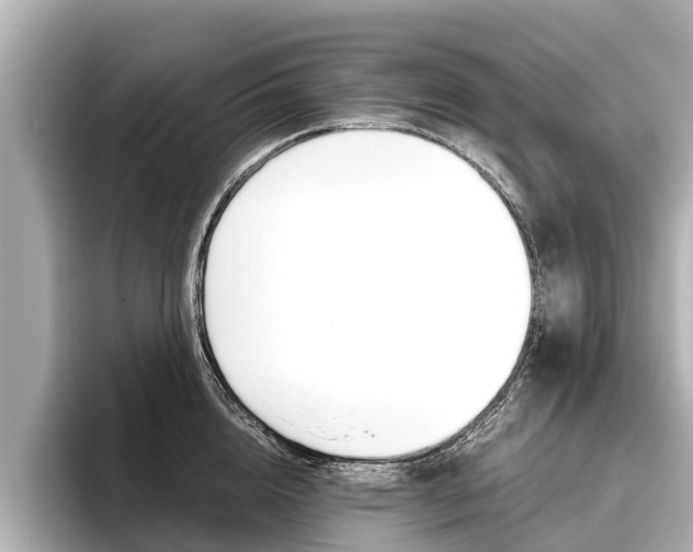 X0000096460856200801241116