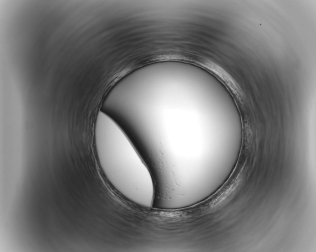 X0000096460857200801241116