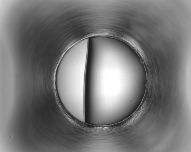 X0000096460858200801241116