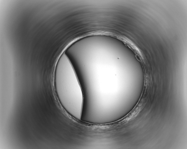 X0000096460860200801241117