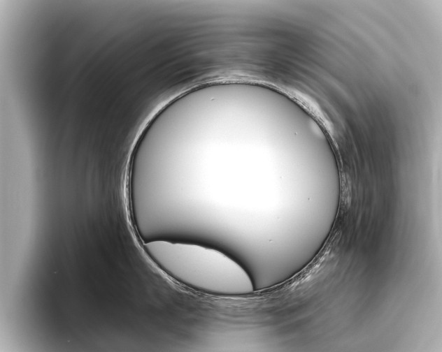 X0000096460863200801241117