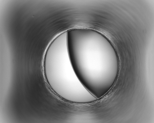 X0000096460864200801241117