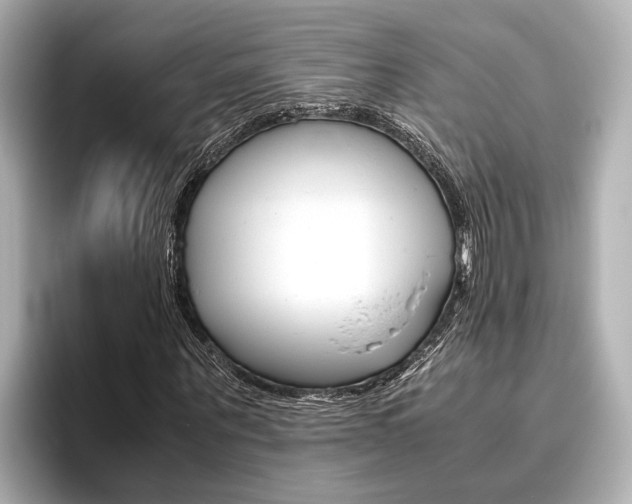 X0000096460867200801241116