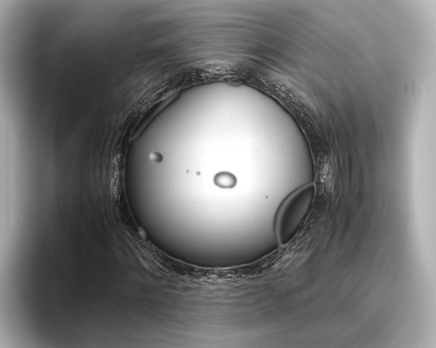 X0000096460868200801241116