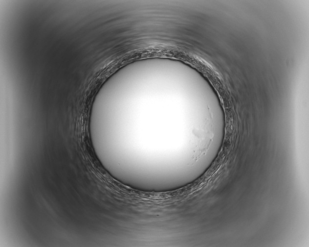 X0000096460869200801241116