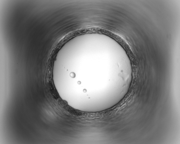 X0000096460871200801241116