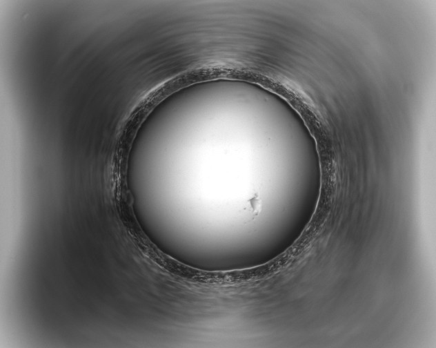 X0000096460872200801241116