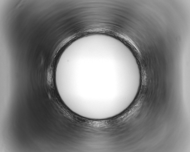 X0000096460874200801241116