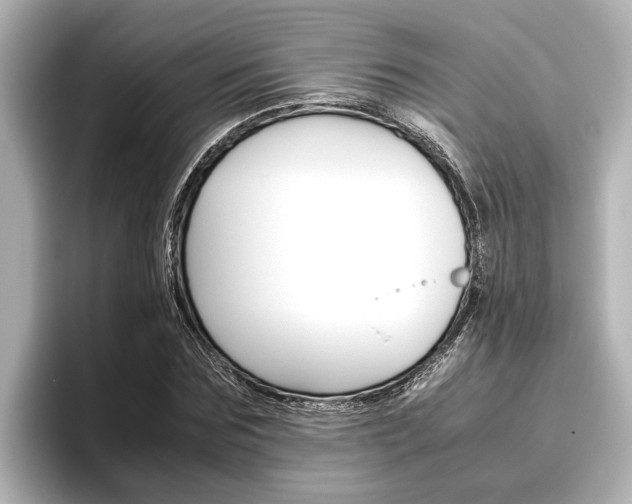 X0000096460875200801241116