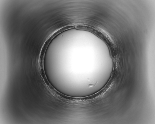 X0000096460876200801241116