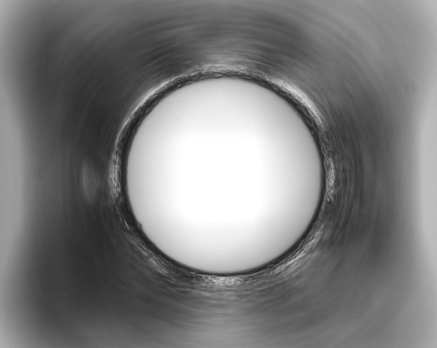 X0000096460878200801241116