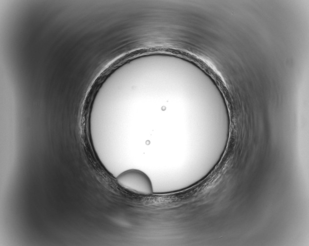 X0000096460879200801241116