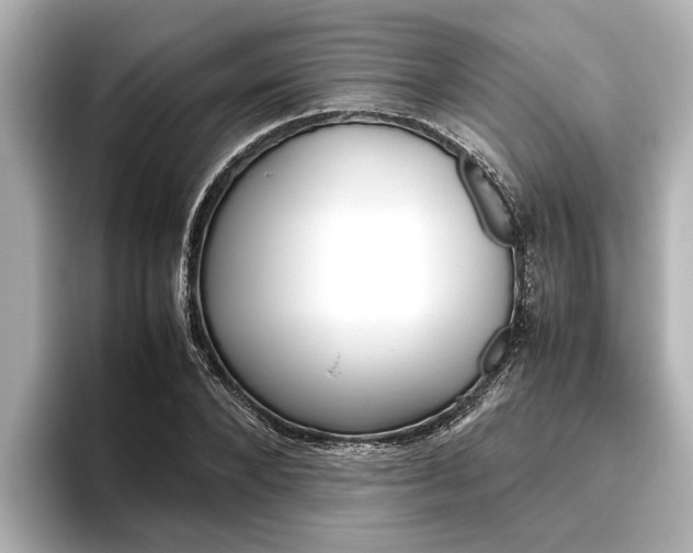 X0000096460880200801241116
